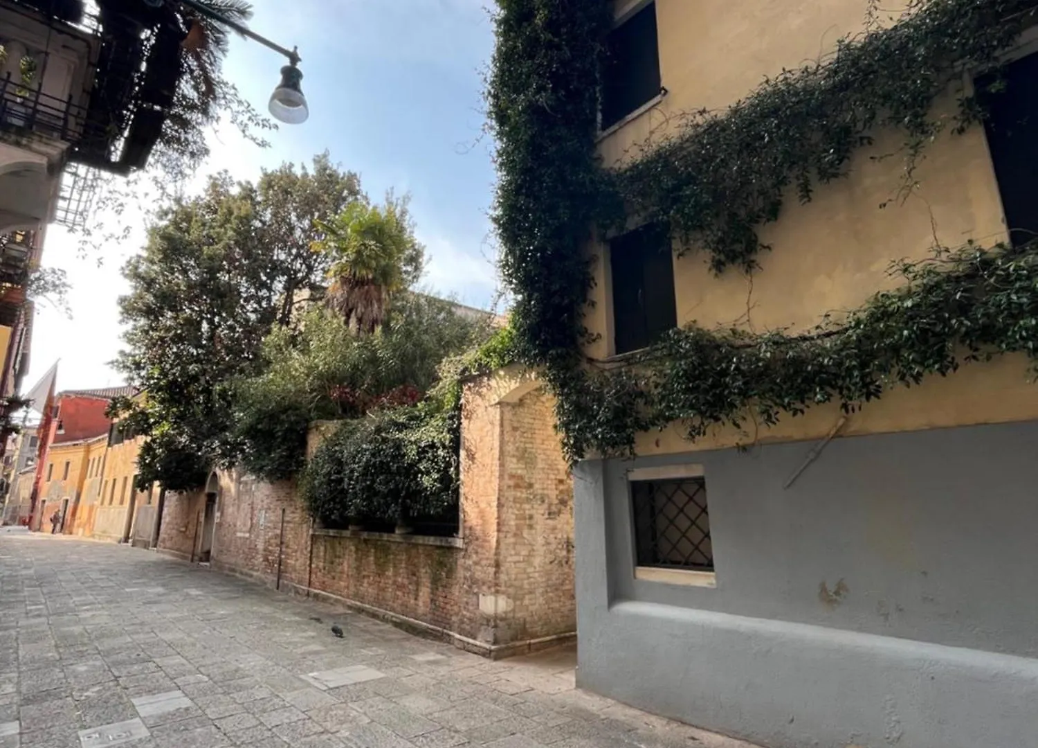 Peggy Suite Venice