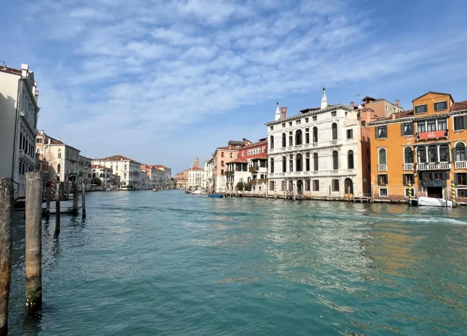 Peggy Suite Venice