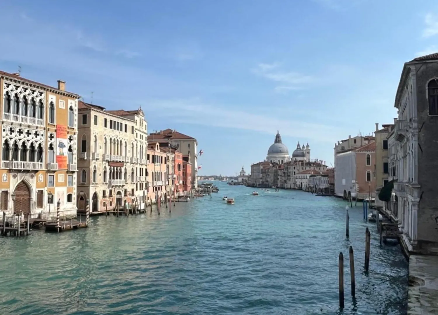 Peggy Suite Venice